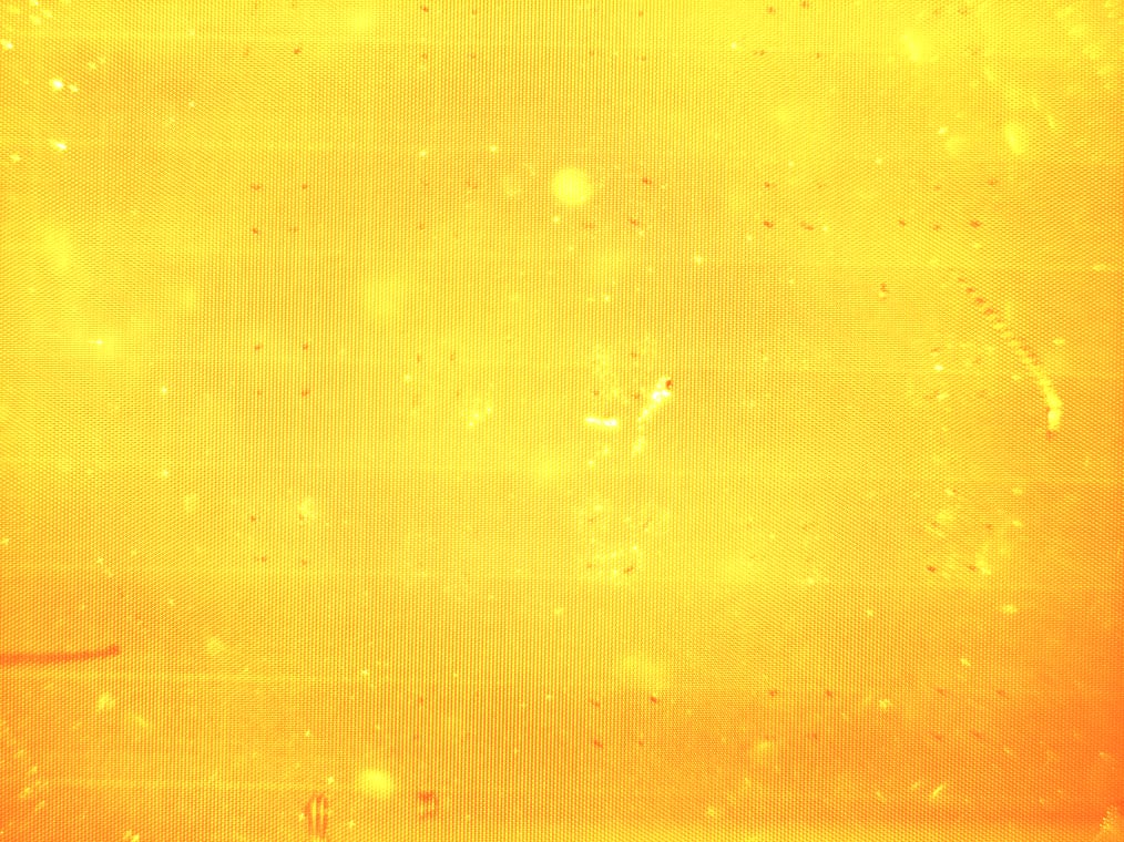 Image of slide with grid only uniformly illuminated