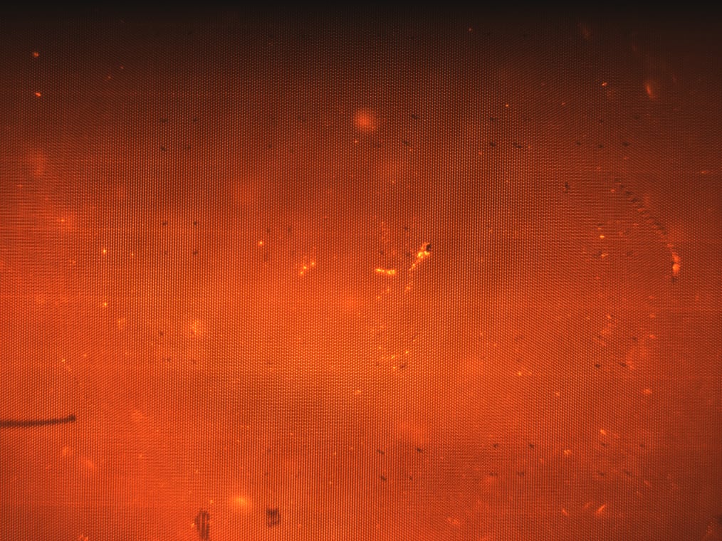 Image of slide with grid only with banding at the top