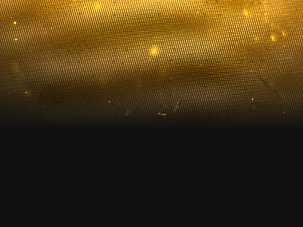 Image of slide with grid only with banding at the bottom